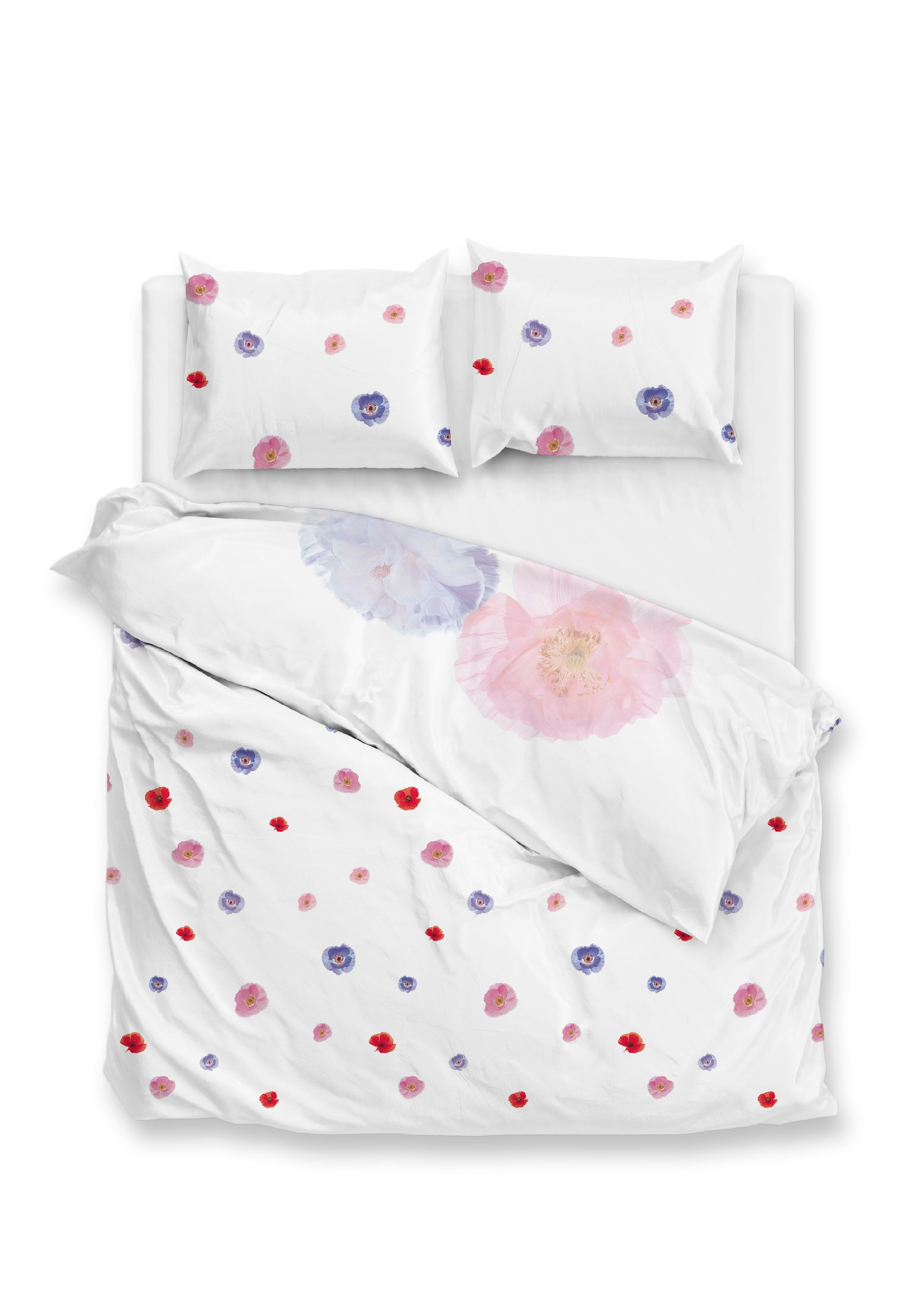 Poppy - Afbeelding 2